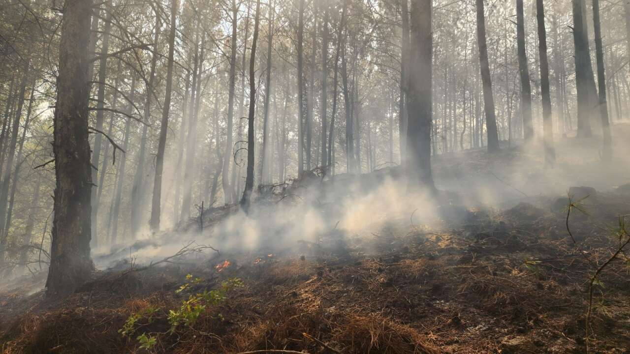 Muğla ve Aydın’da 2025’te 429 Yangın! 3 Bin 800 Dönüm Alan Kül Oldu 6